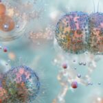 Ảnh minh họa 3D vi khuẩn lậu cầu Neisseria gonorrhoeae – song cầu Gram âm với pili trên bề mặt, nguyên nhân gây bệnh lậu.