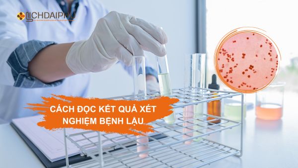 Hình ảnh vi khuẩn lậu Neisseria gonorrhoeae có hình hạt cà phê nằm trong bạch cầu đa nhân
