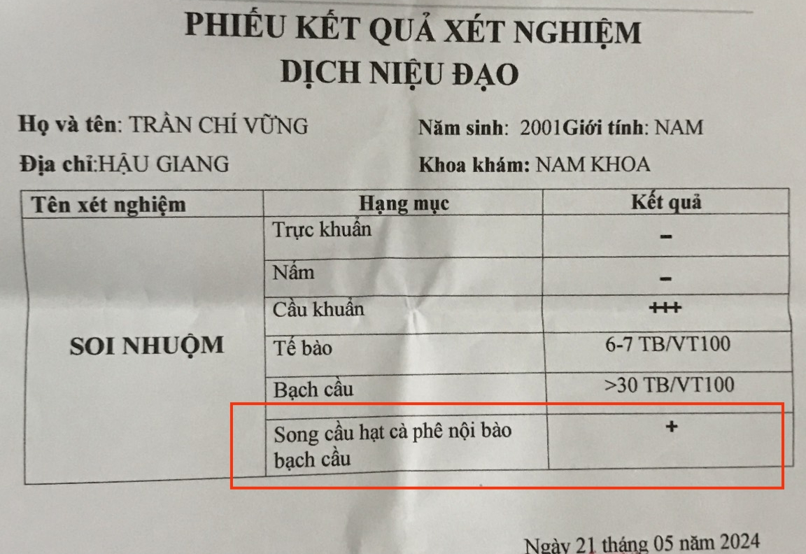 Phiếu kết quả xét nghiệm bệnh lậu dương tính với ký hiệu Positive hoặc Detected Phiếu kết quả xét nghiệm bệnh lậu dương tính với ký hiệu Positive hoặc Detected