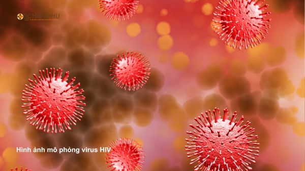 Mô phỏng virus HIV, cảnh báo nguy cơ lây nhiễm khi quan hệ với gái mại dâm bị rách bao cao su. Mô phỏng virus HIV, cảnh báo nguy cơ lây nhiễm khi quan hệ với gái mại dâm bị rách bao cao su.