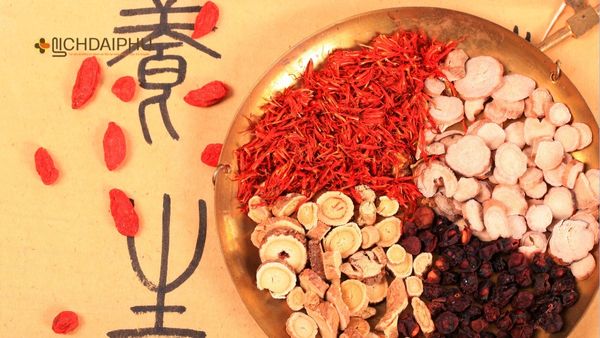 Điều trị bệnh lậu ở Hà Nội bằng Đông y – An toàn, hiệu quả, không tái phát Hình ảnh minh họa điều trị bệnh lậu ở Hà Nội bằng Đông y, sử dụng thảo dược tự nhiên giúp tiêu viêm, giải độc, phục hồi cơ thể và ngăn ngừa tái phát.