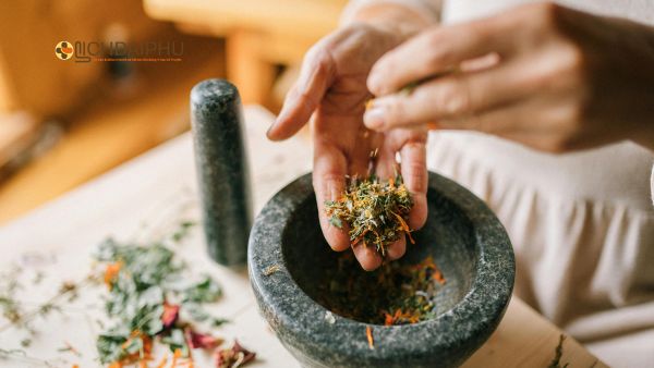 Thuốc đông y chữa dương vật chảy mủ tại nhà